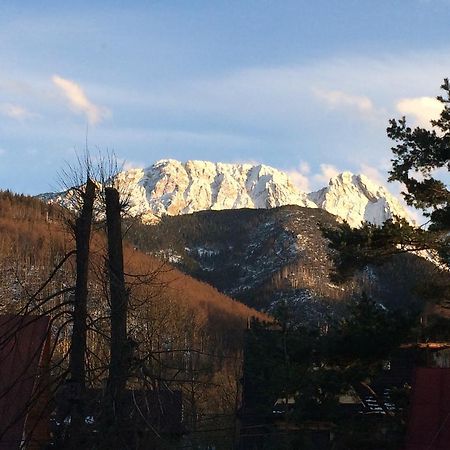 Dom Wypoczynkowy Jadzia Zakopane Exterior photo