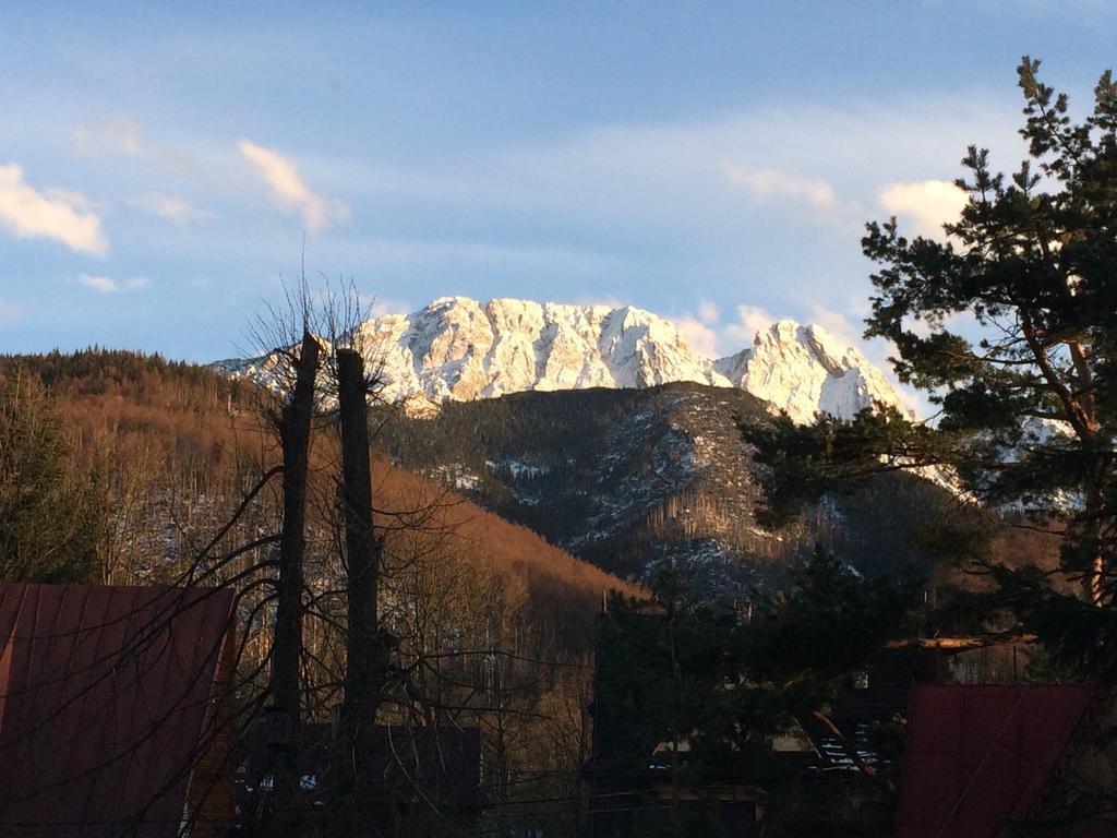 Dom Wypoczynkowy Jadzia Zakopane Exterior photo