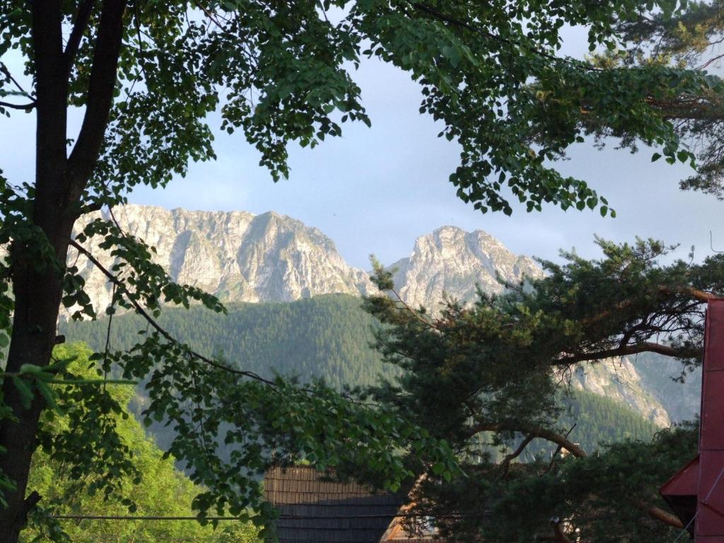 Dom Wypoczynkowy Jadzia Zakopane Exterior photo