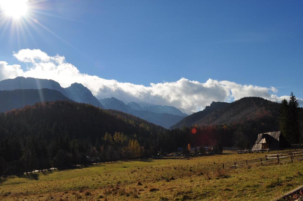 Dom Wypoczynkowy Jadzia Zakopane Exterior photo