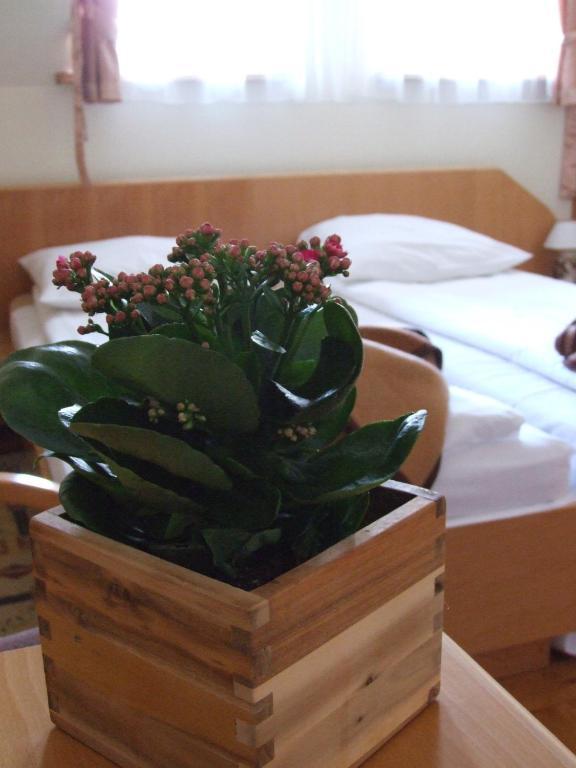 Dom Wypoczynkowy Jadzia Zakopane Room photo